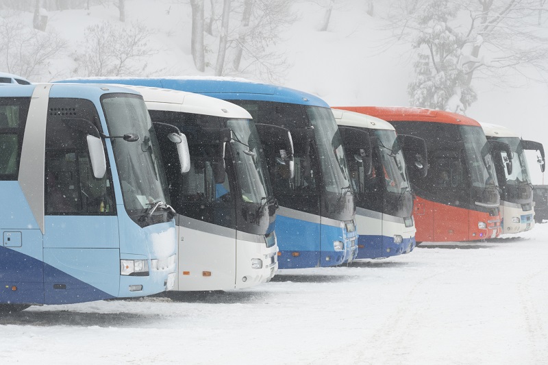 autobusy zimą